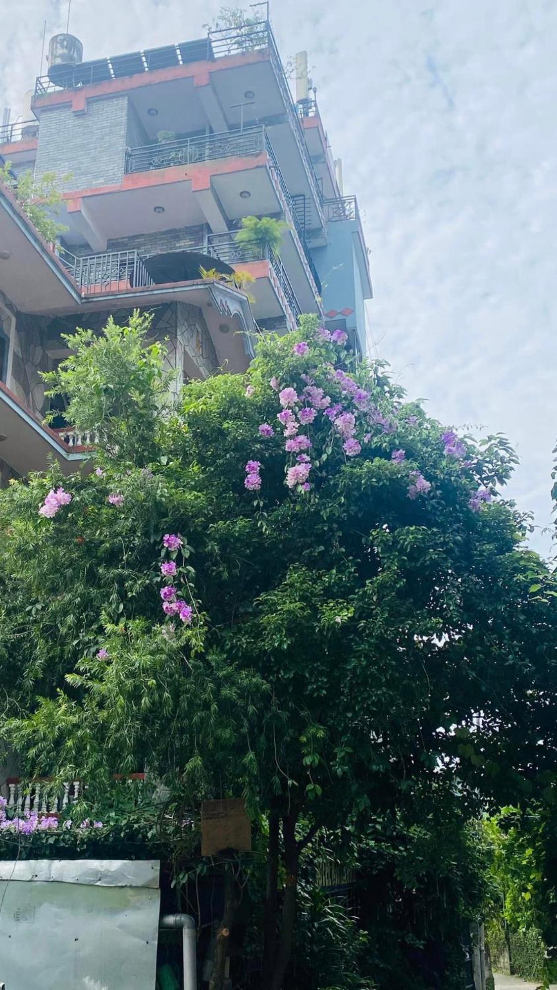 호텔 리버 파크 포카라 외부 사진
